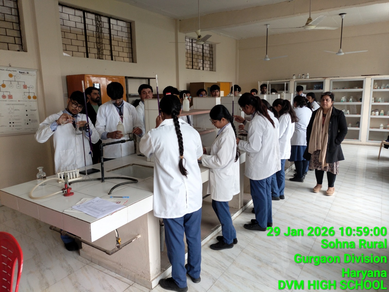 DVM Public School curriculum activity